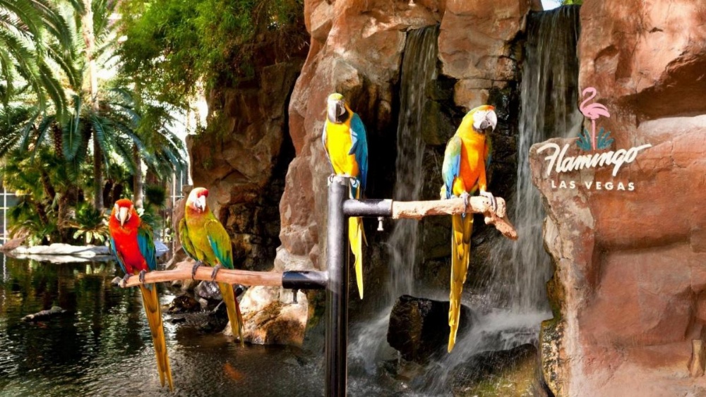 Flamingo Las Vegas Image 12